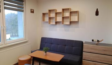 Mieszkanie 1-pokojowe Rybnik Boguszowice, ul. Patriotów