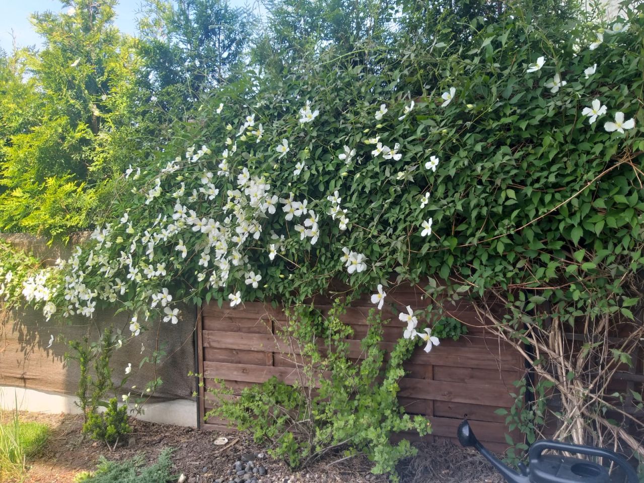 Mieszkanie 2-pokojowe Krzeptów, ul. Jagodowa. Zdjęcie 16