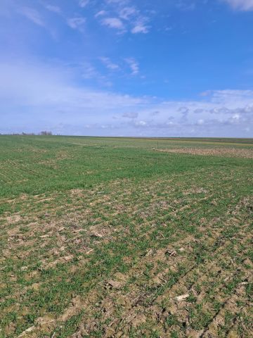 Działka budowlana Kalisz Dobrzec. Zdjęcie 4