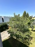Mieszkanie 2-pokojowe Katowice Brynów, ul. Grzegorza Fitelberga. Zdjęcie 4