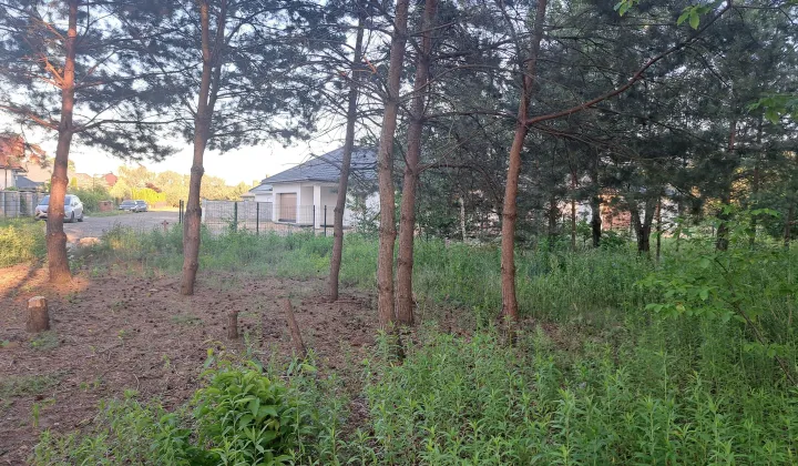 Działka budowlana Koszelówka, Jeziorna