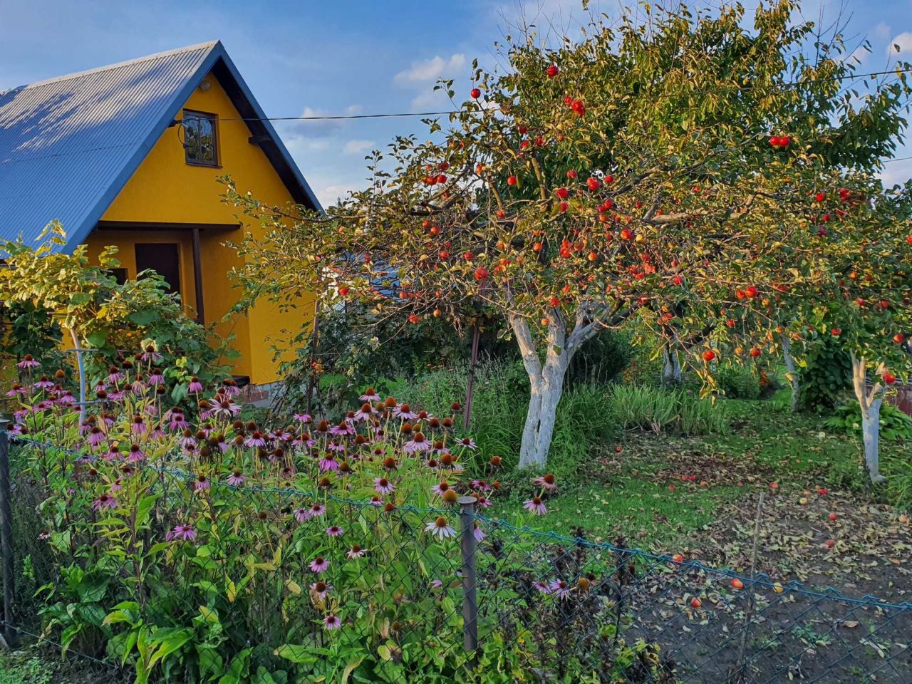 Działka rekreacyjna Sanok, ul. Stróżowska