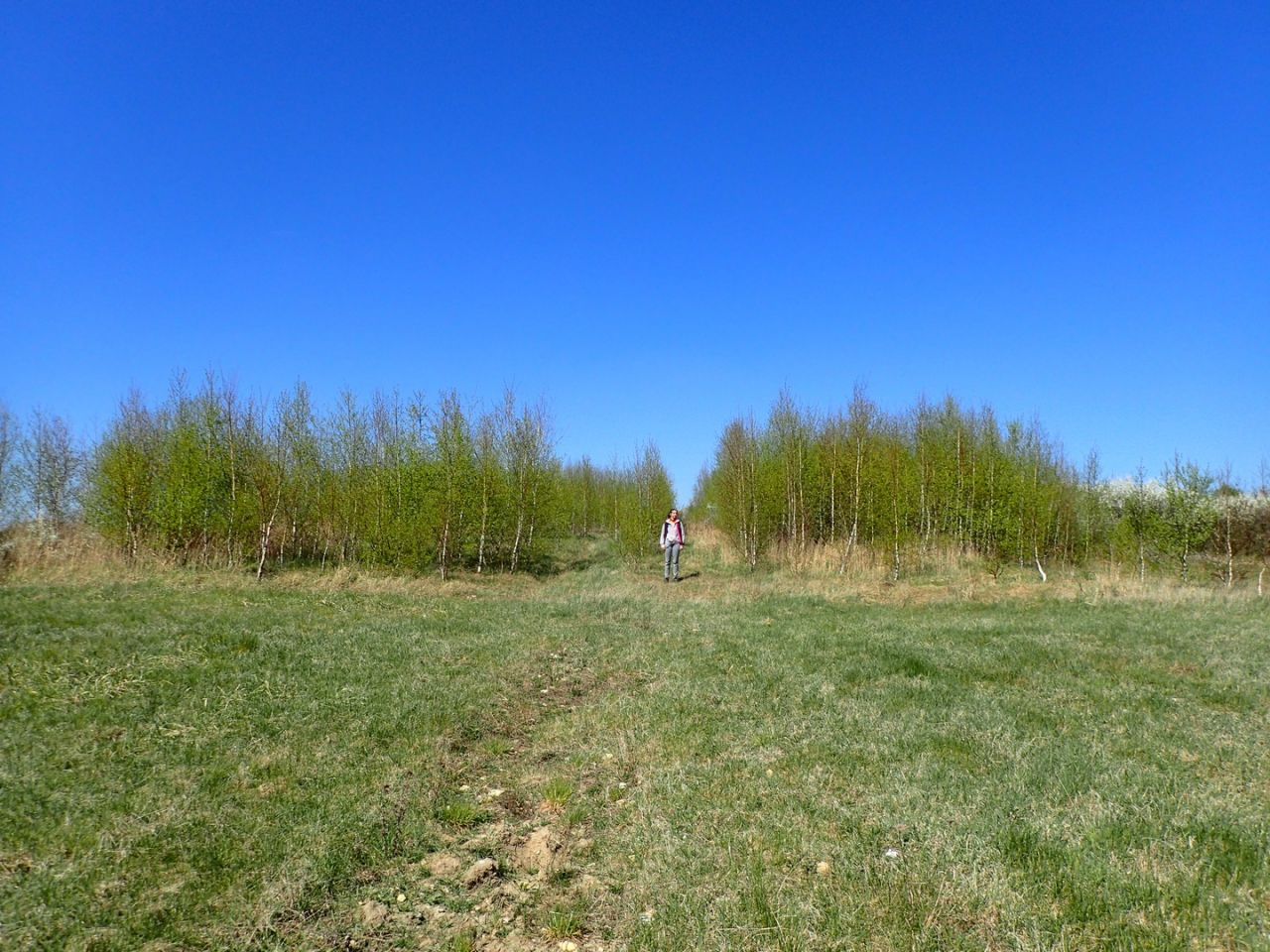 Działka rolna Siedlec. Zdjęcie 6