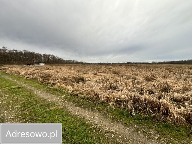 Działka rolna Dąbki, ul. Polna. Zdjęcie 6