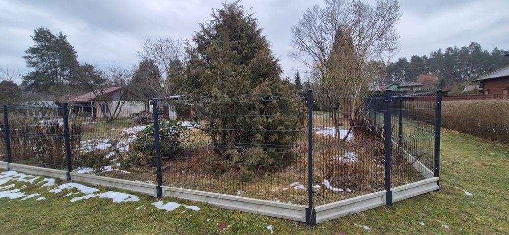 Działka rod Lisów. Zdjęcie 2