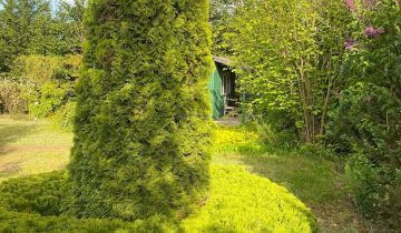 Działka rolno-budowlana Witunia, ul. Podgórna