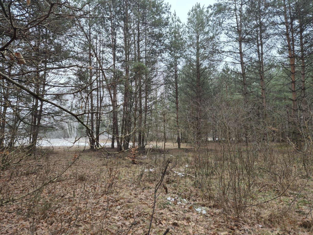 Działka rolna Widełka. Zdjęcie 8