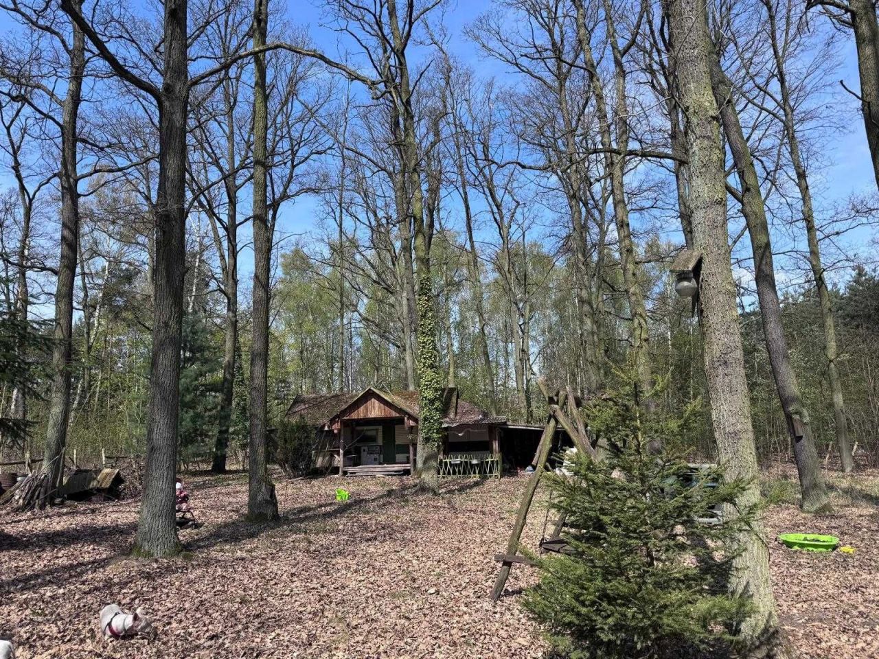 Działka leśna Tłokinia Wielka. Zdjęcie 6