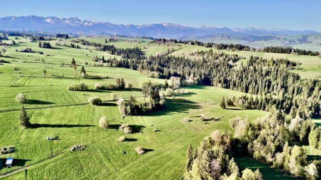 Działka budowlana Leśnica. Zdjęcie 1