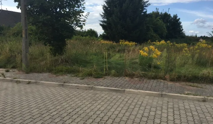 Działka budowlana Dębno, ul. Juranda