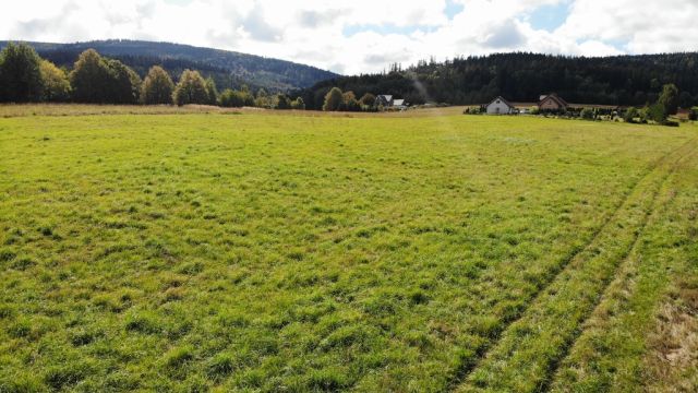 Działka budowlana Szczytna, ul. Wiosenna. Zdjęcie 5