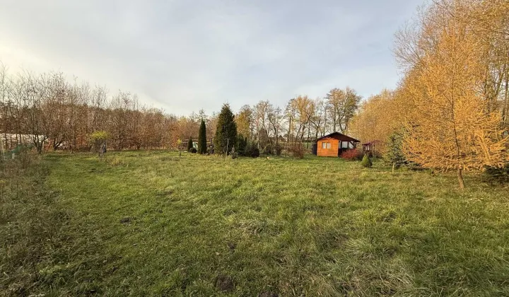 Działka rolno-budowlana Poskwitów Stary Poskwitów, ul. Na Błonia