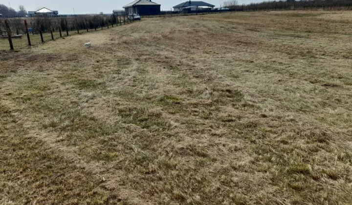 Działka rolna Skwierzyna, ul. Międzyrzecka