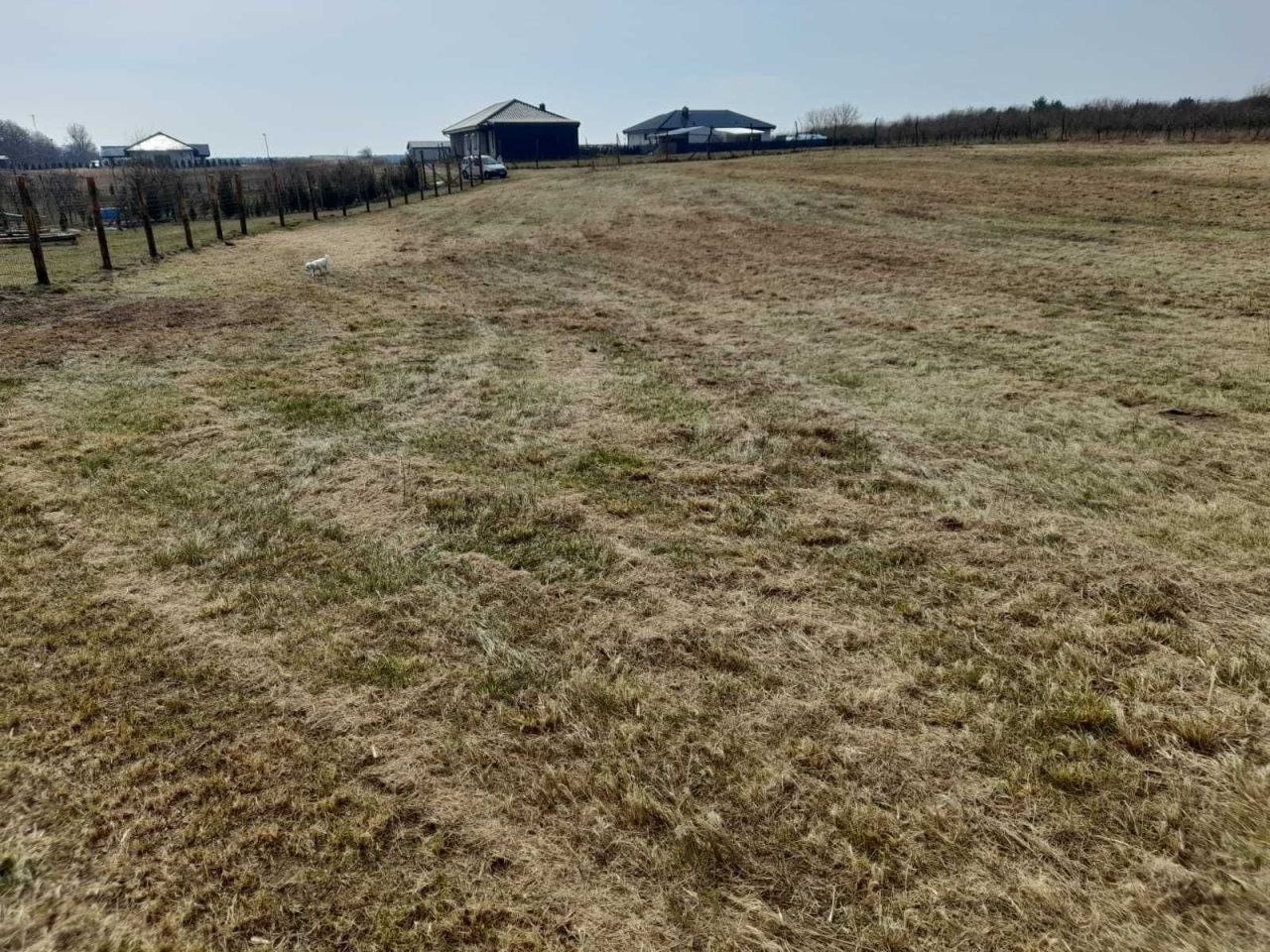 Działka rolna Skwierzyna, ul. Międzyrzecka