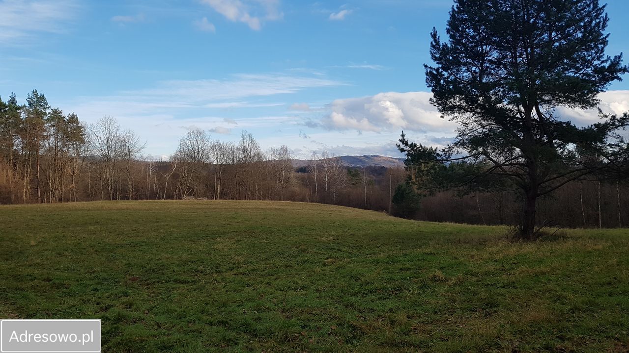 Działka inwestycyjna Bóbrka. Zdjęcie 20