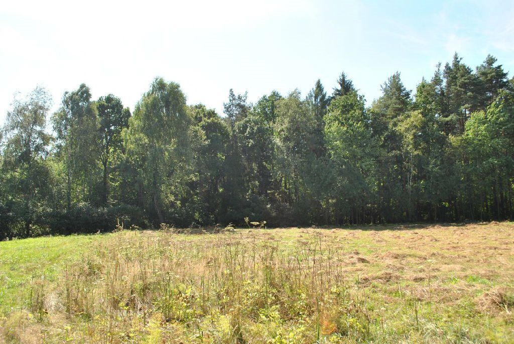 Działka budowlana Kęty Podlesie. Zdjęcie 4