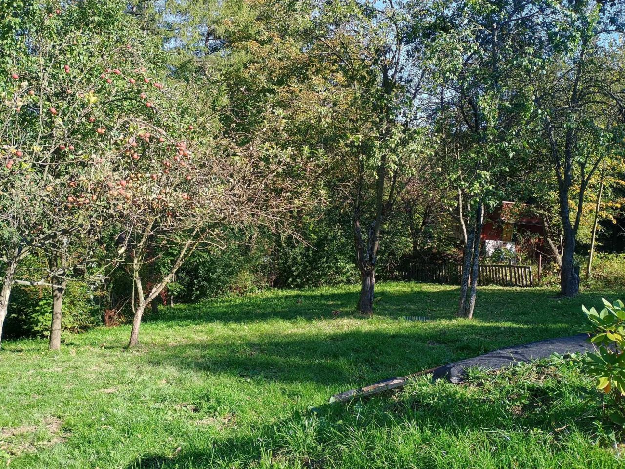 Działka rod Bielsko-Biała Lipnik. Zdjęcie 5
