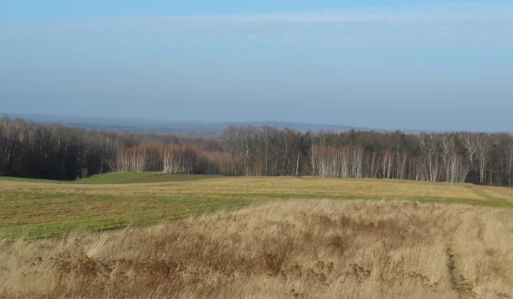 Działka budowlana Mzyki, ul. Polna