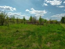 Działka siedliskowa Teodorówka. Zdjęcie 3