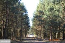 Działka budowlana Osęczyzna. Zdjęcie 2