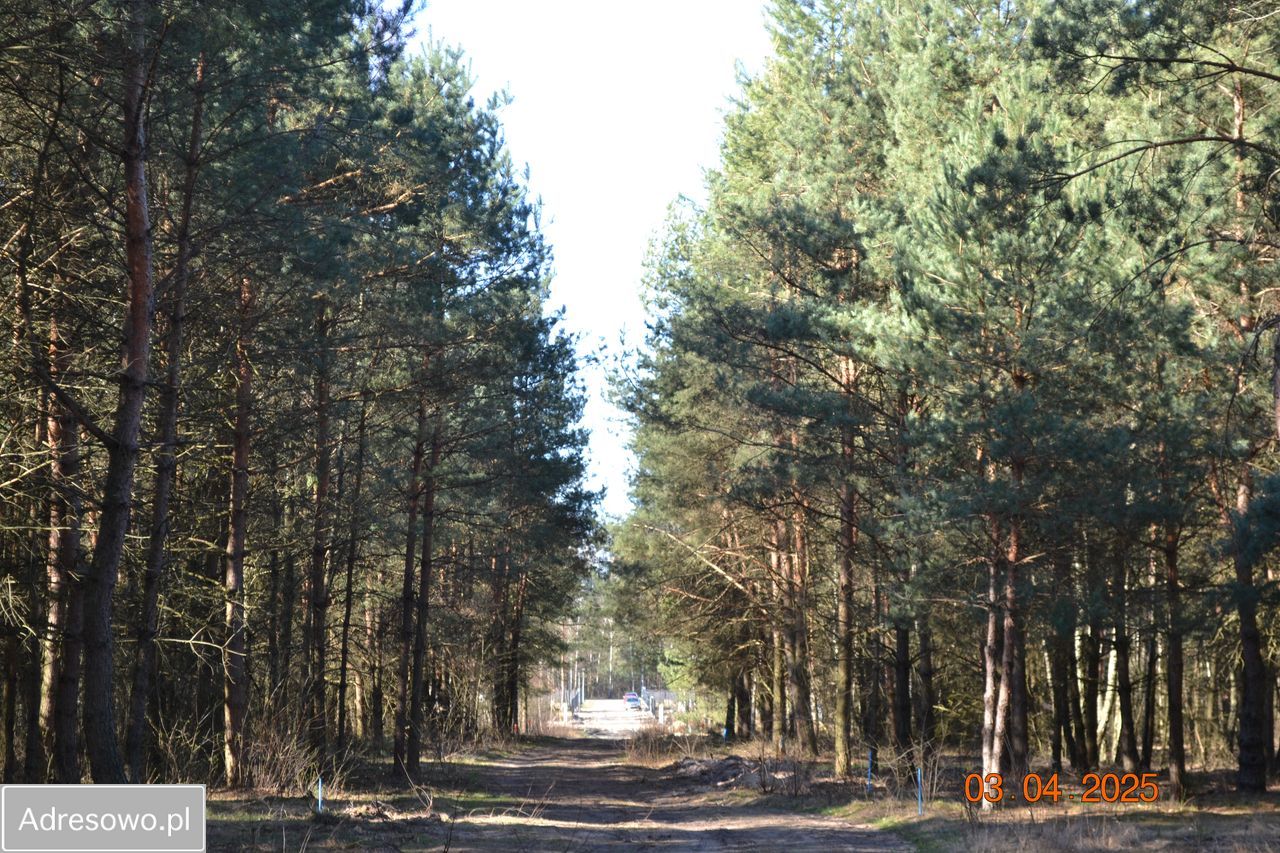 Działka budowlana Osęczyzna. Zdjęcie 3