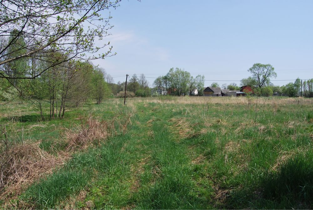 Działka budowlana Lipiny. Zdjęcie 3