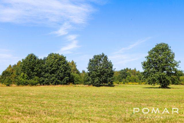 Działka Nędza, ul. Gliwicka. Zdjęcie 6