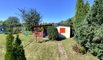 Działka rod Pyrzyce, ul. Lipowa