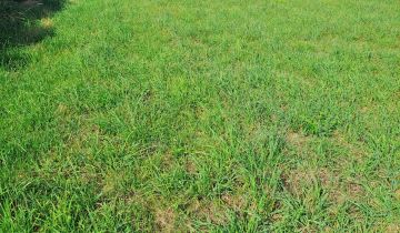 Działka budowlana Wilczopole-Kolonia