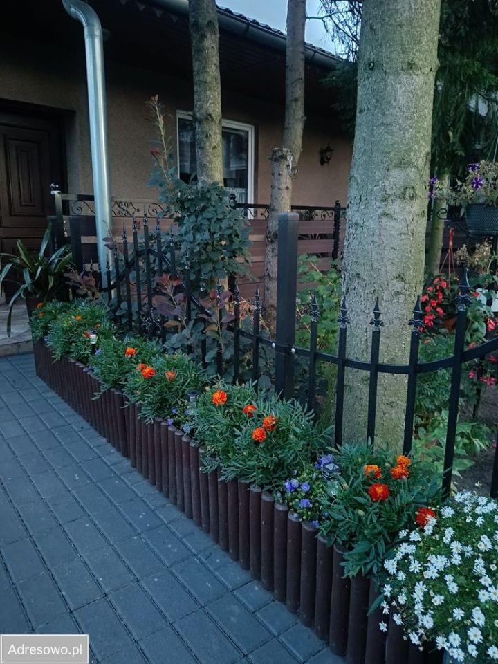 Mieszkanie 3-pokojowe Murzynowo. Zdjęcie 6