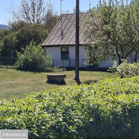 Działka siedliskowa Wieczfnia Kościelna. Zdjęcie 1