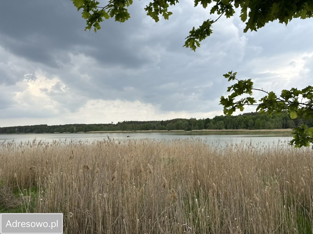 Działka rekreacyjna Zaździerz. Zdjęcie 18