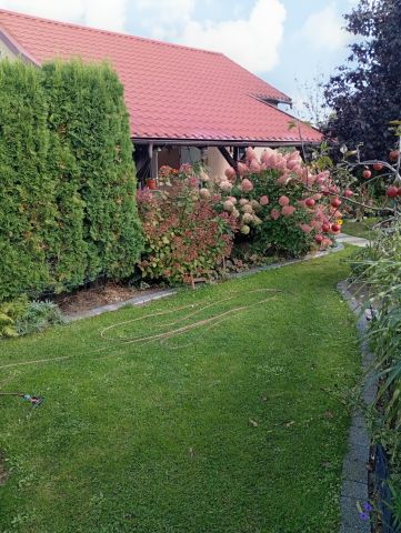 Działka rod Kulów. Zdjęcie 1