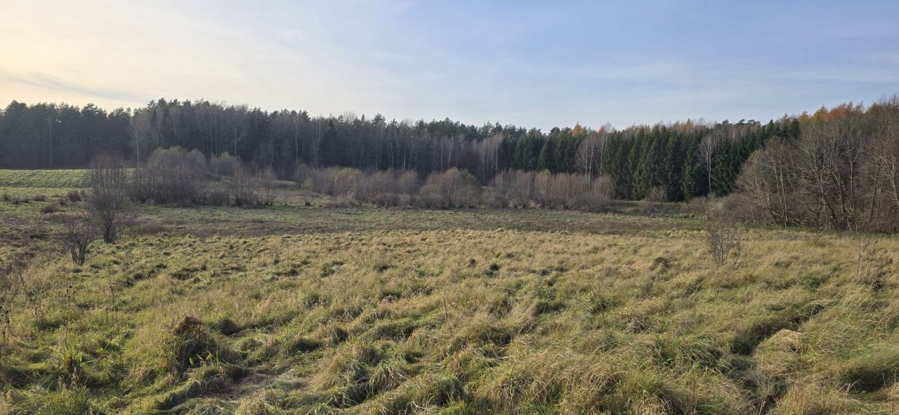 Działka rolna Runowo. Zdjęcie 5