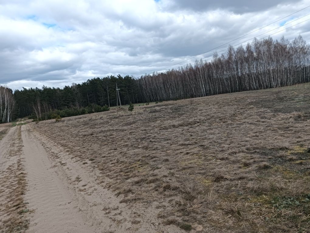 Działka budowlana Śródborze. Zdjęcie 3