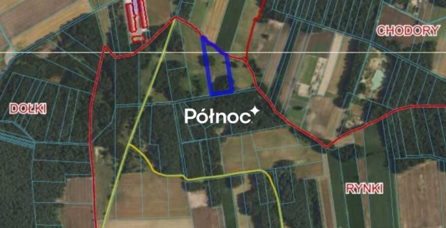 Działka rolna Rynki. Zdjęcie 2