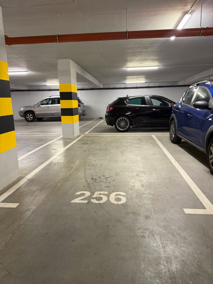 Mieszkanie 1-pokojowe Wrocław Stare Miasto, ul. Braniborska. Zdjęcie 8