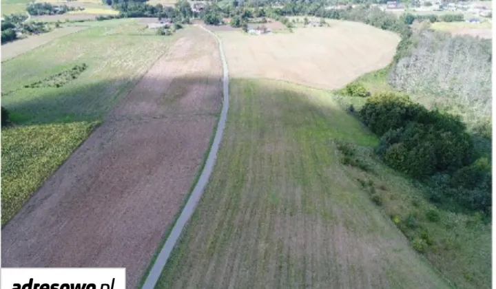Działka rolna Wólka Paruszewska