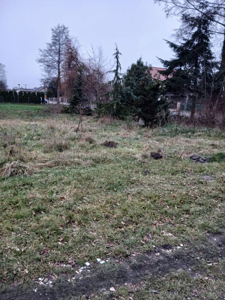 Działka rolno-budowlana Krajanka. Zdjęcie 5