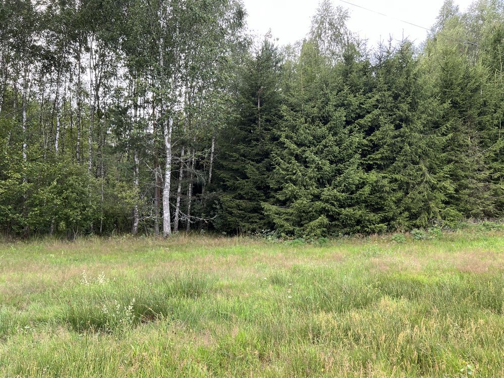 Działka rolna Henrykowo. Zdjęcie 2