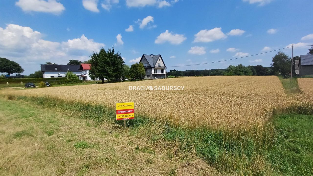 Działka inwestycyjna Rudze. Zdjęcie 17