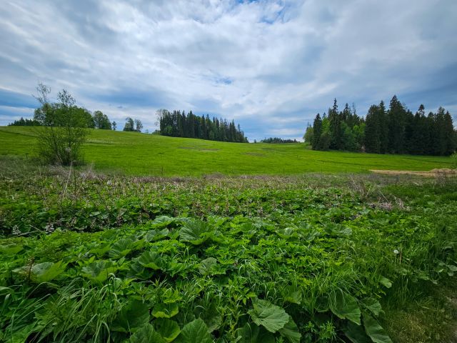 Działka rolno-budowlana Maruszyna. Zdjęcie 13