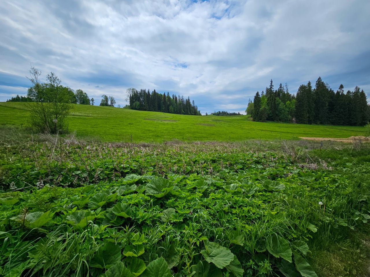 Działka rolno-budowlana Maruszyna. Zdjęcie 13