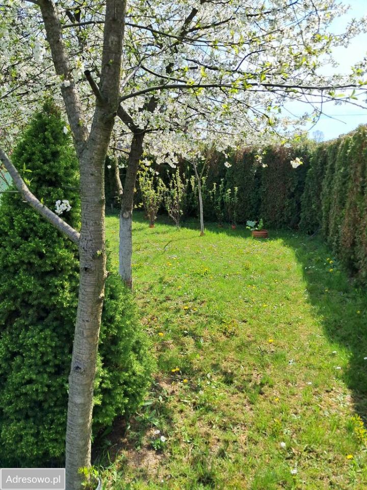 Działka rod Tarnów, ul. Łyczków. Zdjęcie 4
