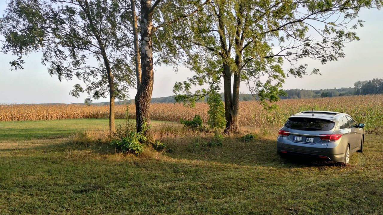 Działka rolno-budowlana Folwarki Małe. Zdjęcie 3