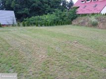 Działka budowlana Tuczno, ul. Pocztowa. Zdjęcie 4