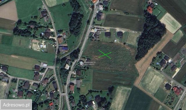 Działka budowlana Dankowice, ul. Jagiellońska. Zdjęcie 1