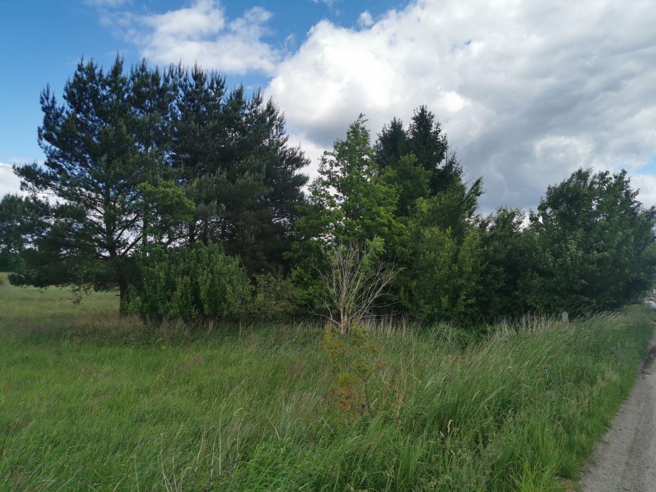 Działka budowlana Gierałtów. Zdjęcie 3