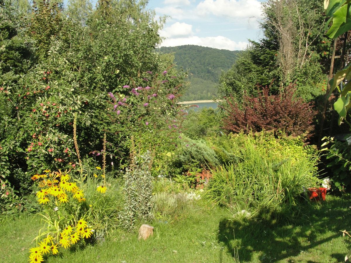 Działka budowlana Klimkówka. Zdjęcie 13