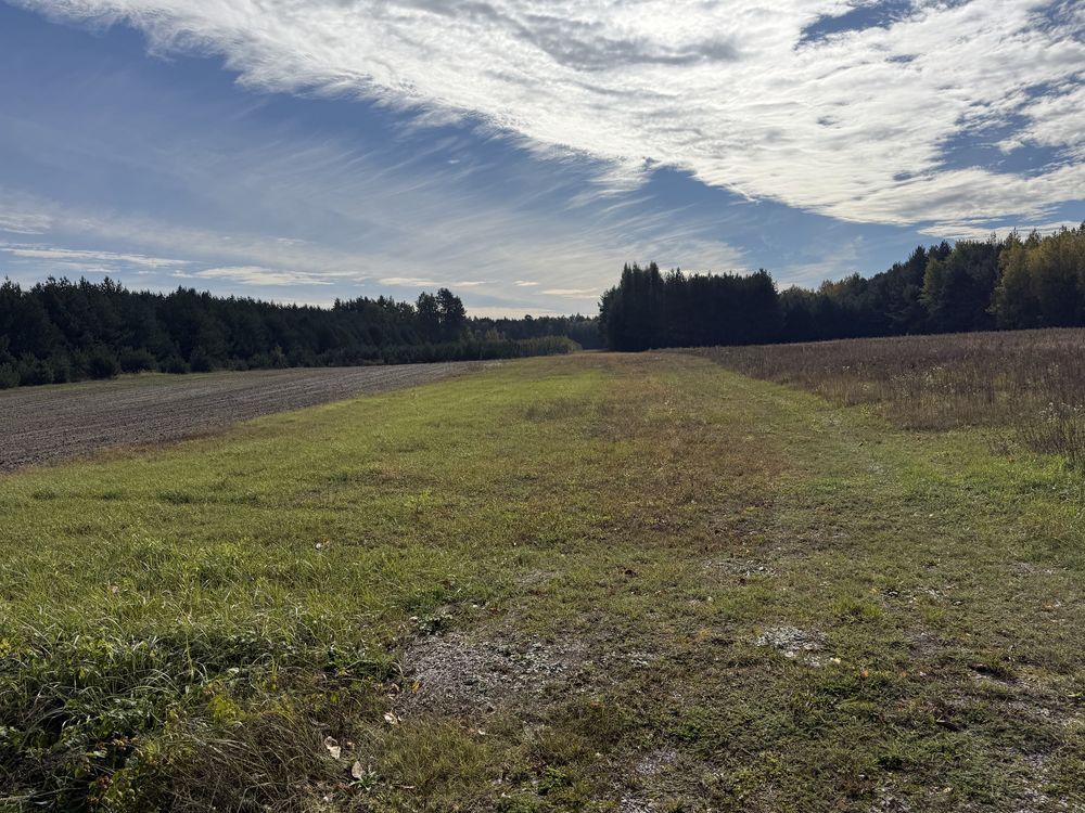 Działka rolno-budowlana Ruda Żelazna. Zdjęcie 4